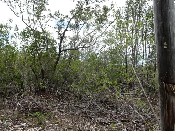LOT 6 Mad Bob Rd #1, Summerland Key, FL 33042