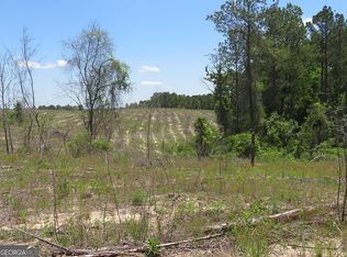 0 Pineville Rd, Buena Vista, GA 31803