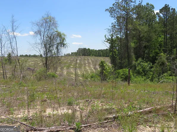 0 Pineville Rd, Buena Vista, GA 31803