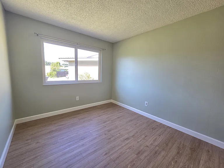 4295 Peg Ct — Photo 20