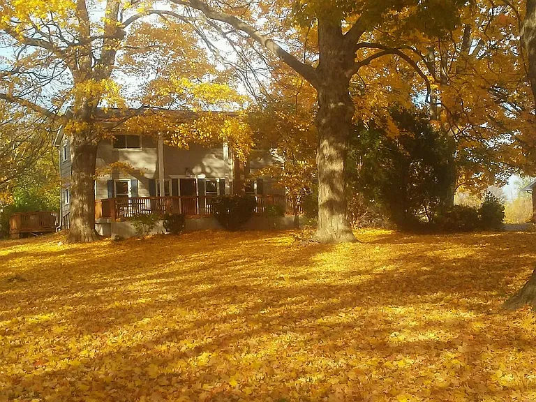 20324 Jerusalem Rd — Photo 4