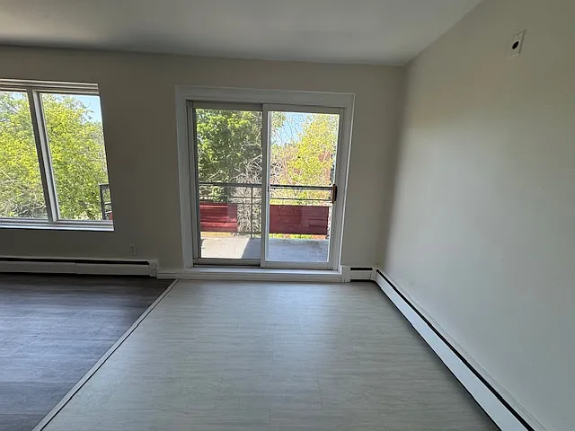236 Louisa St #8B — Photo 3