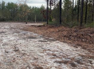 127 Colonial Coast Cir SE, Townsend, GA 31331