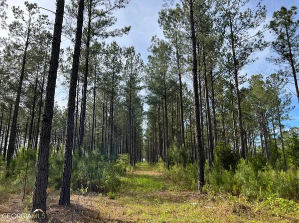 2211 Buena Vista Hwy, Mauk, GA 31058