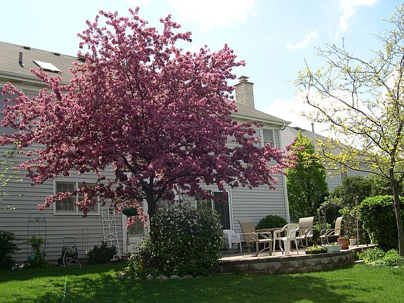 2nd image of 1260 Lorraine Pl