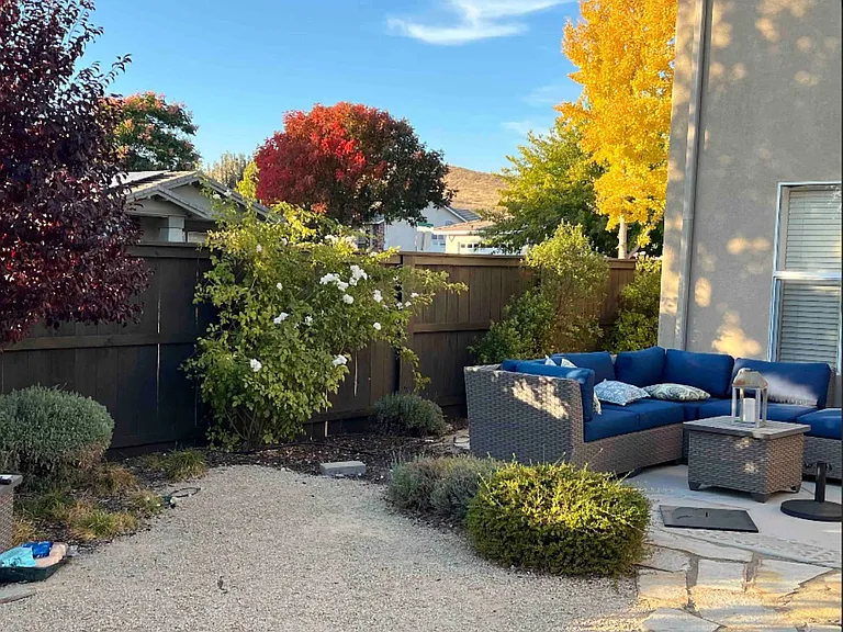 Back yard