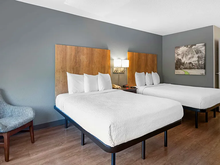 Studio Suite - 2 Full Beds