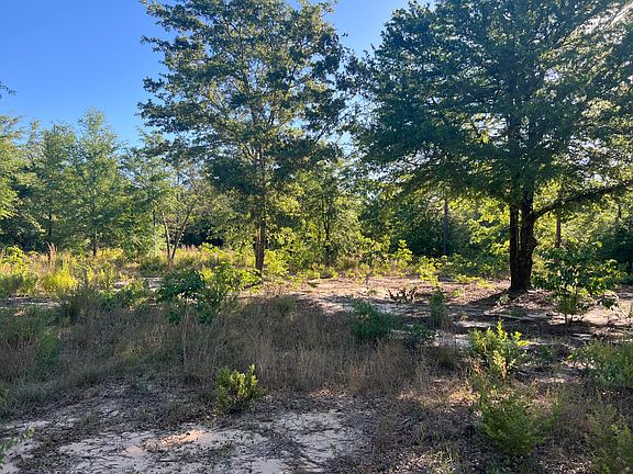 2nd image of 0 Pearl Bonnet Rd