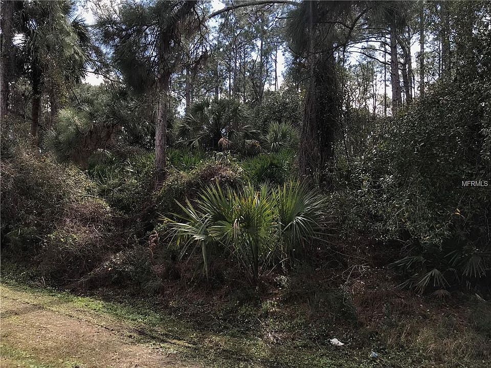 2nd image of Madagascar Ave