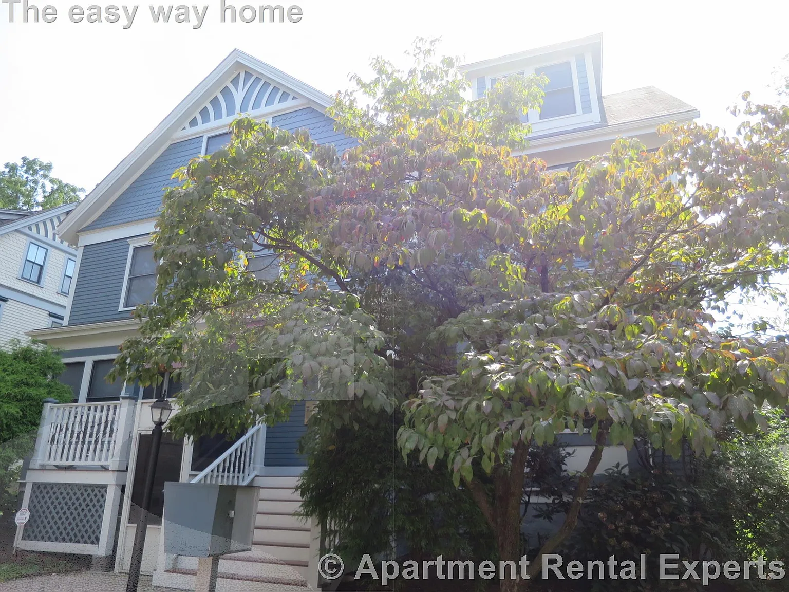 364 Harvard St — Photo 2