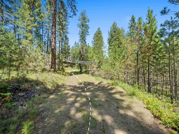 230XX N Crescent Rd, Colbert, WA 99005