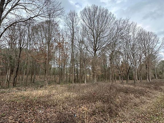 4th image of 0 Futch Rd