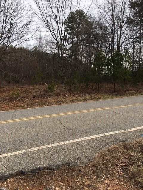 2nd image of 253 Scruggs Rd