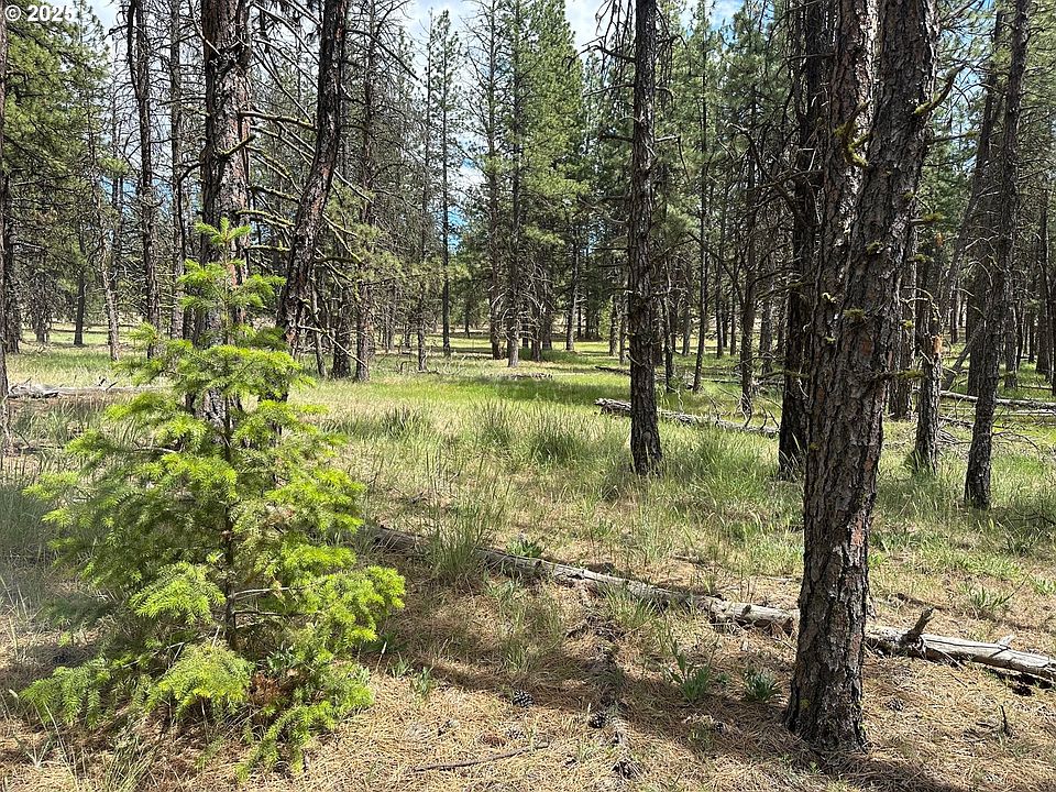 2nd image of 0 Pipeline Rd