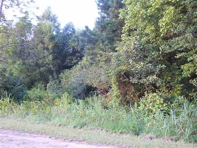 2nd image of 215 Nottingham Dr