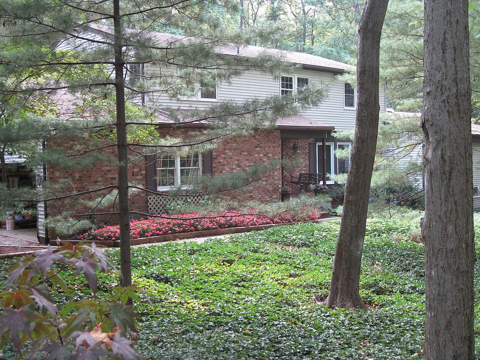 Front view