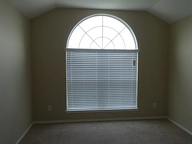3903 Southern Blf — Photo 13