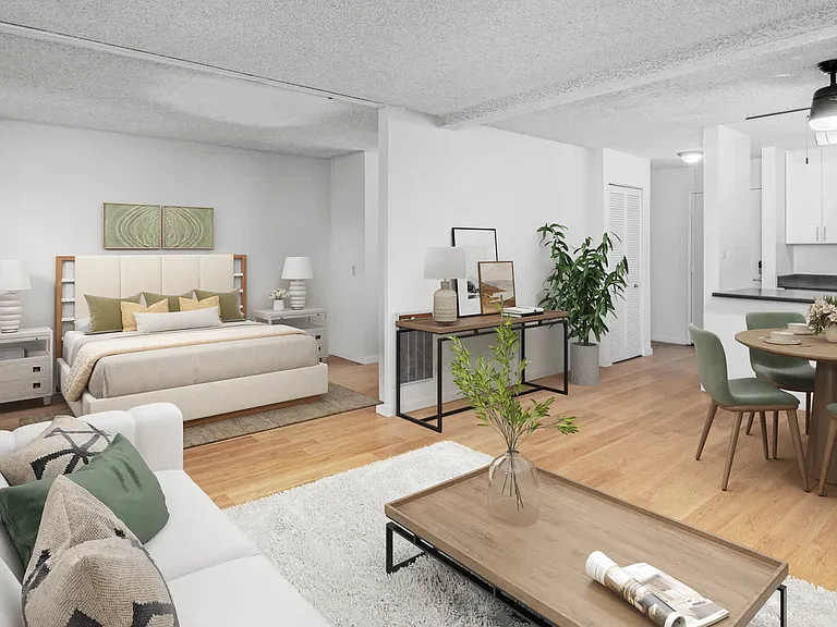 Studio with Hard Surface Flooring