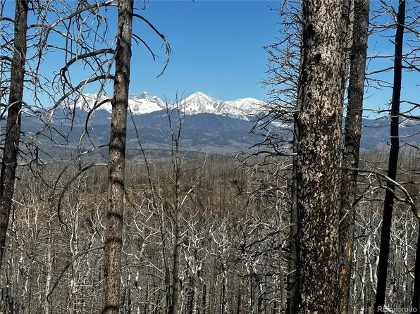 393 Powers Road LOT 393, Fort Garland, CO 81133