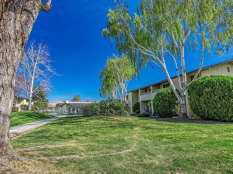 Pepper Tree Village Apartments — Photo 12