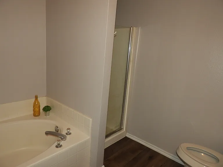 Primary Bathroom with standing shower and garden tub.