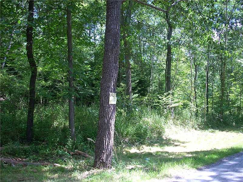 2nd image of Lick Rd