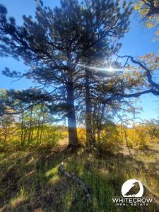 233 N Spring Dr, Springdale, UT, 84767