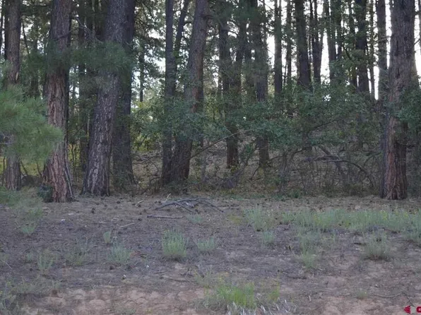 196 Snowbird Court, Bayfield, CO 81122