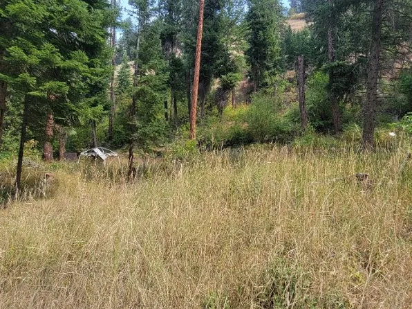 River Canyon Rd #Tl-900, Imnaha, OR 97842