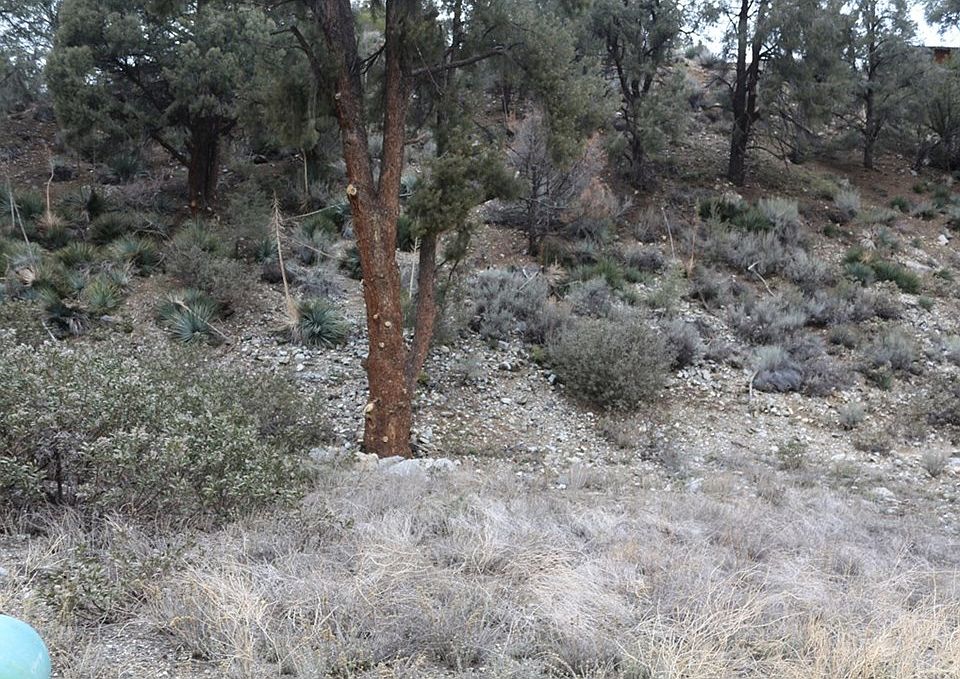 1st image of 14325 Voltaire Dr