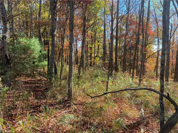0 Grandview Cir, Traphill, NC 28685