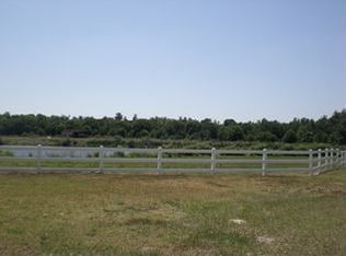 12940 Gibson Ln, Odessa, FL 33556