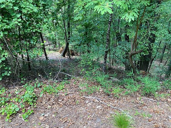 4th image of 504 Wood Haven Ct Lot 65