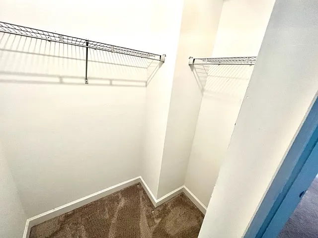 14164 Pine Lodge Ln — Photo 29