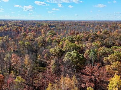 Beamish Rd, Coleman, MI, 48618