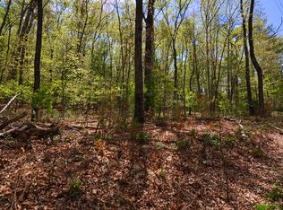 Longs Rd, Blue Ridge, GA 30513