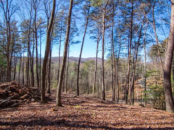 150 Clays Way, Blue Ridge, GA 30513