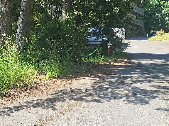 5th image of 808 Liberty St