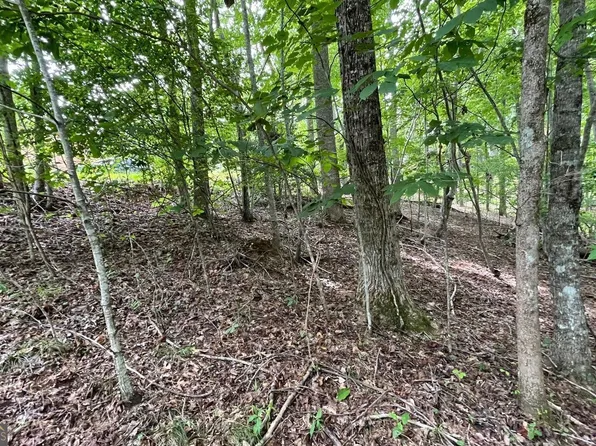 3 Morgan Dr, Young Harris, GA 30582