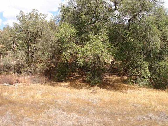 3rd image of 40.59 Acres Mother Grundy Truck Tr