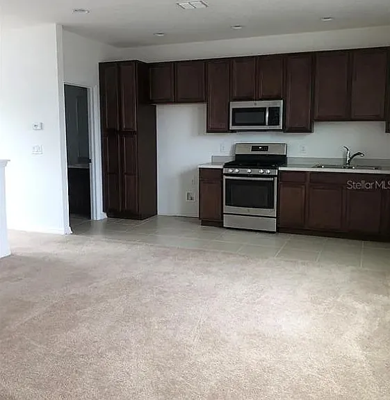 15031 Black Scoter Dr — Photo 17