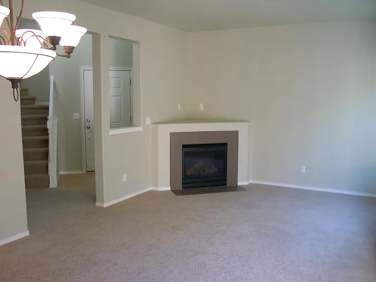 Gas Fireplace