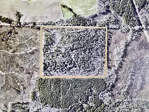 0 Pleasant Grove Rd, Choudrant, LA 71227