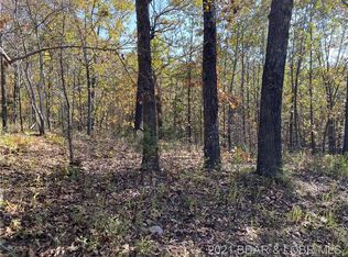 TBD Blackberry Ln, Macks Creek, MO 65786