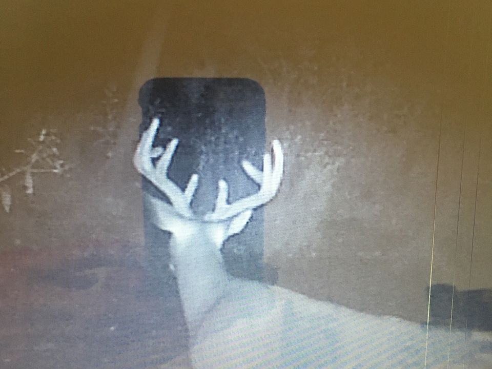1st image of 1600 Union Ave