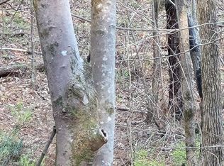 2607 Shawtown Rd, Millport, AL 35576