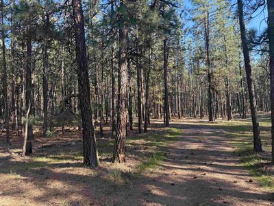 25815 W Long Lake Rd, Ford, WA, 99013