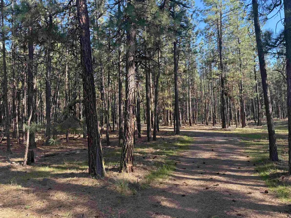 25 W Long Lake Rd, Ford, WA 99013