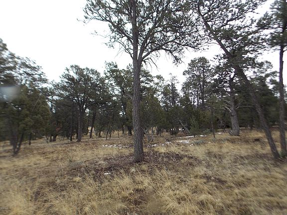 3rd image of 3479 Fence Post Dr