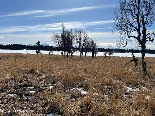 L43 Dahl St, Homer, AK 99603